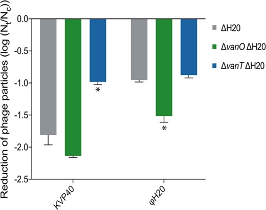 Concentration of KVP40 (Myoviridae) and ϕH20 (Siphoviridae) was reduced post 48 h of incubation in cell-free spent supernatant (Nt) compared with incubation in growth medium (control, Nc). An asterisk indicates a significant reduction of infective phages compared with cell-free spent supernatants from the ΔH20 cultures (ANOVA and Sidak’s multiple comparison test, α = 0.05). Error bars represent standard error of the mean (N = 3).