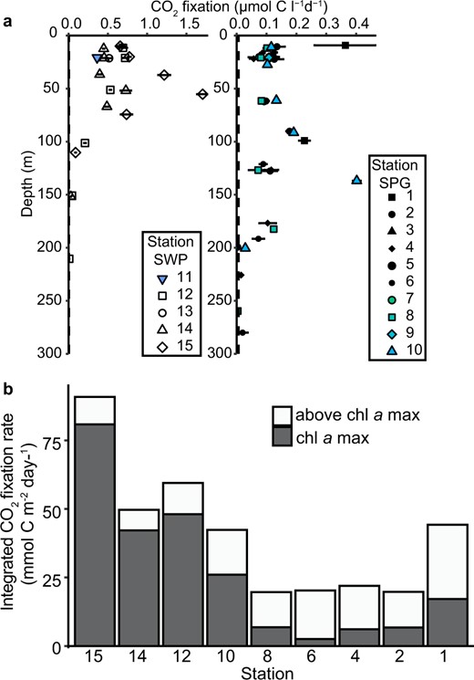 a Vertical CO2 fixation rates. Horizontal bars represent the standard deviation of the triplicate measurements, in most cases the one standard deviation error bars are smaller than the symbols. The minimum quantifiable limit (average 0.007 µmol C l−1 d−1 for all samples) is indicated by the vertical dashed line along the y-axis. b Depth-integrated CO2 fixation rate from surface to below the chl a max. White indicates the CO2 fixation above the chl a max and gray the CO2 fixation within the chl a max. Station 1 rates were integrated only over two depths rather than six as in the other stations).