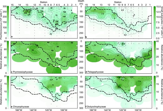 Numerical abundances of (a) Prochlorococcus and (b) small photosynthetic eukaryotes. Relative abundances of chloroplast 16S rRNA gene OTUs (% of total chloroplast sequences, rarefied at 400 reads per sample) are shown for (c) Prymnesiophyceae, (d) Pelagophyceae, (e) Chrysophyceae and Synurophyceae, and (f) Dictyochophyceae. Dots and dashed lines as in Fig. 1.