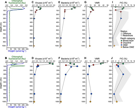 Oxygen concentration and chlorophyll fluorescence (A, B), viral (C, D) and bacterial concentrations (E, F), VMR (G, H), and FIC (I, J) at each station are displayed. Error bars represent standard deviations of the means of triplicate samples. Shaded areas in I–J represent positive and negative 95% confidence intervals for single samples.