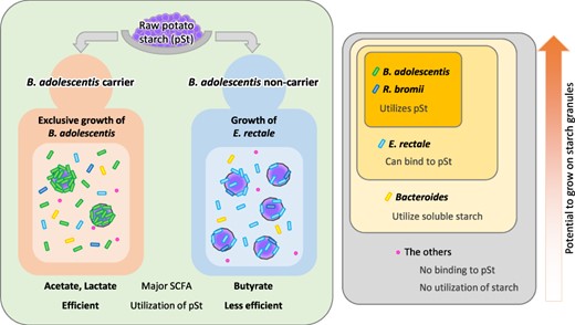 Graphical Abstract