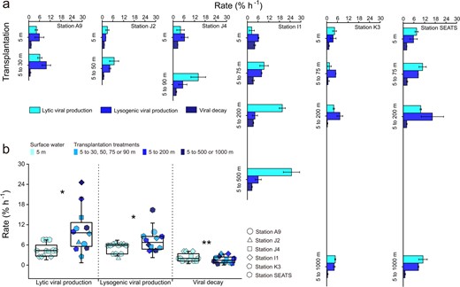a Lytic and lysogenic viral production and viral decay in control and transplantation experiments performed in six stations. Error bars indicate the standard errors calculated from duplicate sample measurements. b Comparison of lytic and lysogenic viral production and viral decay in transplantation experiments with control treatments. Error bars indicate the standard deviations calculated from all measurements in control or in transplantation experiments. ns, no significant difference; *p < 0.05; **p < 0.01.