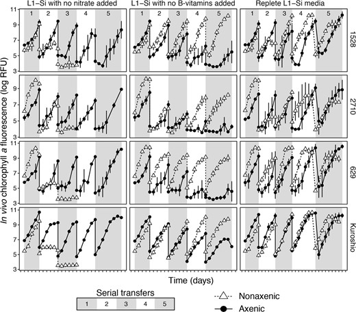 Each set of conditions were established in triplicate—each point is a mean of three biological replicates and error bars are one standard deviation of the mean—and cultures were maintained for five sequential transfers of five (transfers 1–4) to seven days (transfer 5). Serial transfers are denoted by alternating shaded regions on the plots and are numbered in the top panels. Growth was maintained in all replicates across all five transfers in replete L1–Si media; growth slowed after the fourth transfer in axenic replicates in L1–Si media without B-vitamins; growth slowed after the second transfer (and then ceased after the third) in nonaxenic replicates grown in L1–Si media without nitrate.