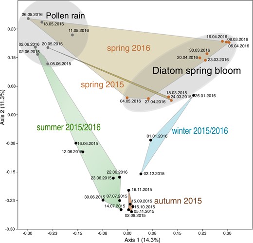 Transparent gray areas indicate sampling dates during diatom spring bloom and pollen rain periods.
