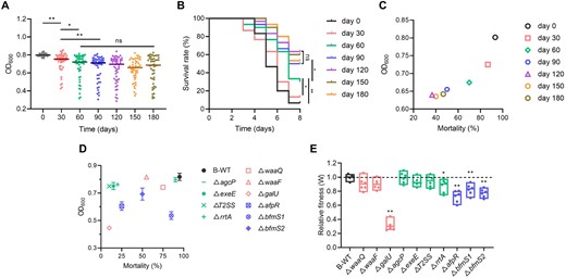 A The growth of the phage-resistant bacteria population in tryptic soy broth (TSB) at each time point. Dorp represents the OD600 of the mutant strains at 72 h. The short line represents the mean OD600 (n = 50). Student’s t-test was used to determine the statistical significance (*p ≤ 0.05, **p ≤ 0.01). B The virulence of the phage-resistant bacteria population at each time point. Fifty mutant strains at each time point were mixed in equal amounts (dose of 2 × 103 CFU/fish per strain and a total injection dose of 105 CFU/fish). The mixture was intramuscularly injected into the turbot (n = 30) and the mortality was counted within 7 days. Pairwise comparisons of the survival rate were determined using a log-rank (Mantel-Cox) test (*p ≤ 0.05 and **p ≤ 0.01). C Growth and virulence of phage-resistant mutant populations at each time point. Dorp represents the mean OD600 and mortality (n = 50). D Growth and virulence of phage resistance gene deletion strains. Growth and survival curves are shown in Figure S9. Dorp represents the mean of OD600 and mortality. The error bar represents the standard deviation of the OD600 at 72 h (n = 3). E Fitness of the phage resistance gene deletion strains relative to the wild-type (WT) strains. The dashed line represents the WT strain as a control. Each point is an individual bacterium (n = 6). The middle line represents the mean of each point. Student’s t-test was used to determine the statistical significance compared to the WT strain (*p ≤ 0.05, **p ≤ 0.01). Black represents the WT strain. Red represents the lipopolysaccharide (LPS) deletion strains. Green represents the outer membrane protein (OMP) deletion strains. Blue represents the two-component system (TCS) deletion strains.