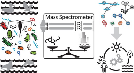 Graphical Abstract