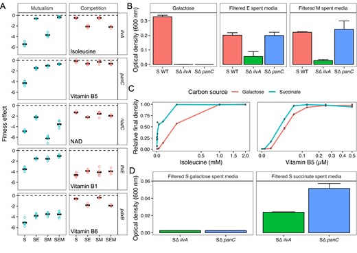 A Normalized gene fitness scores for representative genes involved in biosynthesis. B Final OD600 of wild type and mutant S. enterica (S) cultivated in fresh galactose media (left), E. coli (E) spent media (middle), and M. extorquens (M) spent media (right). All experiments were performed in triplicate. CS. enterica ∆ilvA mutant (left) and ∆panC mutant (right) normalized yield on galactose and succinate minimal media with varying amounts of supplementation. Note that the y-axis units – relative final density – is the OD600 at a specified nutrient concentration supplemented into the medium divided by the maximum OD600 for each supplemented nutrient. The x-axis is square root transformed. All experiments were performed in triplicate. D Final OD600 of mutants ∆ilvA and ∆panC S. enterica grown in spent media prepared from wild type S. enterica grown to mid-log phase in galactose (left) or succinate (right) minimal media. All experiments were performed in triplicate. For all of the absorbances shown (B–D), the absorbance of the medium blanks were subtracted from the experimental treatments’ absorbance values.