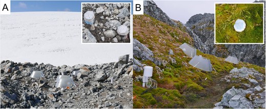 Images of the field qSIP warming study sites, the (A) early successional, non-vegetated, recently deglaciated on Anvers Island and the (B) late successional, vegetated, on Litchfield Island. The insets represent the experimental cores for the field quantitative stable isotope probing tracer study.