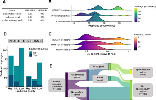 A Performance of PHASTER and VIBRANT prophage predictions relative to the 120 SIPs discovered using VIP-Seq. Performance metrics detailed in Section 2.6. B Distribution of prophage region size for high-quality prophage predictions compared to that of all SIPs. C Same as (B), but with prophage region GC content relative to that of the host bacterial strain. D Bar plot showing the number of prophage predictions observed to be spontaneously active for each of PHASTER and VIBRANT’s confidence predictions (labels masked “High”, “Mid”, and “Low” in order of prediction confidence). E Sankey diagram illustrating the composition of PHASTER prophage predictions from the 40 E. aphidicola genomes.