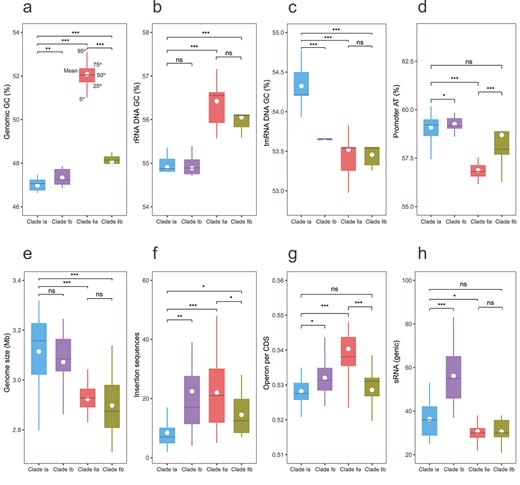 Characteristics of regulatory elements of the four Exiguobacterium subclades in comparison with general genomic features. Box plots of (A) GC content in the whole genome; (B) GC content in the rRNA gene; (C) GC content in the tmRNA gene; (D) AT content in promoters; (E) genome size; (F) insertion sequence; (G) operon per CDS; (H) sRNA content. ns, not significant, P > .05; *P < .05; **P < .01; ***P < .001.