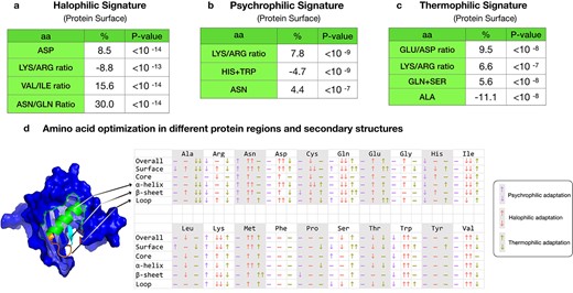 Summary of the main trends at protein level observed for the environmental adaptation of Exiguobacterium. (A–C) Percentage difference between the average amino acid frequency of a given clade relative to the reference clade. (A) Halophilic signature obtained by comparison of Clade IIa to Clade Ia. (B) Psychrophilic signature obtained by comparison of Clade Ib to Clade Ia. (C) Thermophilic signature obtained by comparison of Clade IIb to Clade IIa. P-values were obtained from the Kolmogorov–Smirnov test of the amino acid distribution in the different clades. (D) Amino acid percentage differences between clades when restricted to different protein regions and secondary structures. The three columns correspond to psychrophilic adaptation (Clades Ib vs. Ia), halophilic adaptation (Clades IIa vs. Ia), and thermophilic adaptation (Clades IIb vs. IIa). Arrows ↓↓ and ↓ correspond to a percentage decrease of more than −5% and between −1% and −5%, respectively. Arrows ↑↑ and ↑ correspond to a percentage increase bigger than 5% and between 1% and 5%; − indicates no significant change.