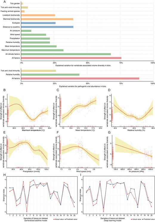 The effects of ecoclimate factors that explain the vertebrate-associated virome diversity and viral abundance of human pathogenic viruses under the GAM. (A) Explained variation of vertebrate-associated virome diversity and human pathogenic viral abundance for all ecoclimate factors. Each ecoclimate factor was individually fitted to the model for vertebrate-associated virome diversity or pathogenic viral abundance. (B-G) Partial effect plots showing the relative effect of each variable for vertebrate-associated virome diversity (Shannon index). All ecoclimate factors were included to fit the best-fit GAM model. Shaded area is the 95% confidence interval of the mean partial effect. (H) Actual Shannon index and predicted Shannon index using the GAM model. (I) Actual Shannon index and predicted Shannon index using the deep learning model.