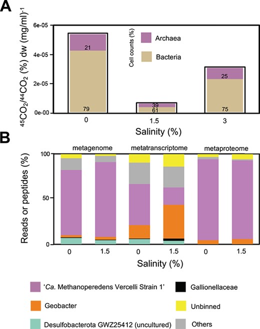 Methane oxidation potential at increasing salinities and meta-omics analysis of the microbial community. (A) Whole bioreactor activity assay with salinity (x-axis) and rates from ~4-day cumulative percentage of 45C-CO2 to 44C-CO2 ratios in the headspace normalized by biomass dry weight (mg/ml) (y-axis). Bar plots are filled with percentages of cell counts of bacteria and archaea, calculated from % 16S rRNA gene DNA copies per μl (purple, archaea; beige, bacteria). The timing for salinities varied: salinity 0%, 1.5%, and 3% were sampled at Weeks 0, 12, and 26, respectively. Salinity 0%–1.5% increase was stepwise with a duration of 12 weeks (0.25% per 2 weeks). Later, the bioreactor ran for 8 weeks at 1.5% salinity. Salinity 1.5%–3% increase was also stepwise but quicker with a duration of 4 weeks (0.5% per week). (B) From left to right: Metagenome bars refer to percentage of mapped reads of a certain MAG; metatranscriptome refers to TPM and metaproteome to relative abundance of top three peptides recovered. Only top population MAGs (>1% mapped reads) are plotted.