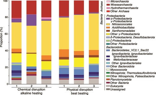 Microbial community structures from the chimney interior based on relative abundances by 16S rRNA gene sequences. Chemically and physically disrupted DNA extractants were analyzed for 16S rRNA gene amplicon sequences. The phylum and class were classified with the nomenclature based on the SILVA 138 database using QIIME2 software.