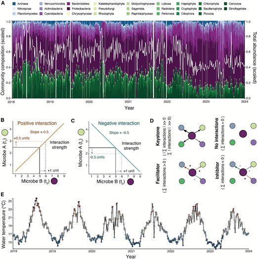 Six years of 16S and 18S amplicon sequencing and water temperature measurements to study interactions among microbes in a coastal environment. (A) Microbial community composition and total abundance. Only dominant taxa (average relative abundance over time > 0.1% and present >50% of samples) are displayed and included in the study. The white line shows fluctuations in the total relative abundance of dominant taxa (scaled). (B) Illustration of the meaning of positive interaction strength and (C) negative interaction strength for a point in time. (D) Interaction types. Colors correspond to higher taxonomic groups defined in (A). (E) Surface water temperature measured at Scripps pier between 2018 and 2024 in °C.