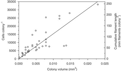 Number of cells and cumulative filament length (both shown as symbols) in Aphanizomenon colonies as a function of colony volume. The line represents linear regression between the variables (please see text).