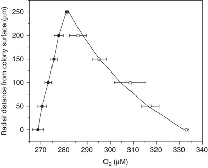 O2 gradients measured at the colony–water interface during dark (closed symbols) and in light at 300 μmol photons m−2 s−1 (open symbols). Each symbol represents the average value of three series of measurements with the s.d. of the mean value shown as bars. The curve represents the O2-concentration gradient fitted to the measured values and used for flux calculations.