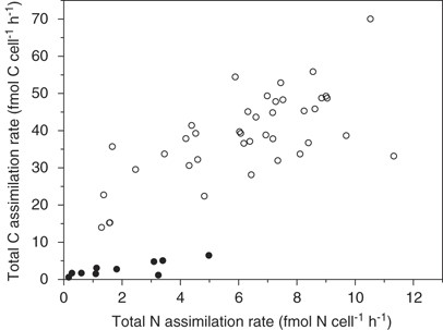 Cell-specific carbon and N2-fixation rates as measured by nanoSIMS. Vegetative cells are shown as open symbols, and heterocysts as closed symbols.
