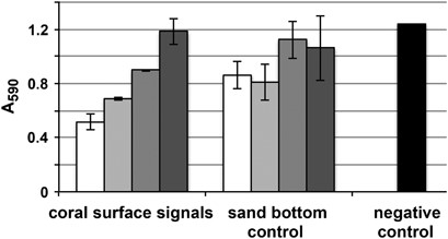 Inhibition of biofilm formation by Serratia marcescens PDL100 in the presence of compounds recovered from coral mucus surface layer. Left: Cellulose dialysis pouches containing reverse-phase C18 Si or HP20SS resin were deployed on surfaces of the boulder coral Montastraea faveolata and the compounds were eluted with a bed volume of chloroform, isopropanol, 100% methanol, 75% methanol and 50% aqueous methanol, evaporated, and reconstituted in 200 μl methanol. A total of 30 μl of serial 10-fold dilutions (left to right) were added to the wells of polystyrene microtiter plates where the pathogen was allowed to settle in colonization factor antigen media. The highest amount corresponds approximately to 37.5 cm2 of M. faveolata coral surface. Activities eluted from the reverse-phase C18 Si with 75% methanol:25% water exhibited noticeable inhibitory properties, shown here. Middle: As a control, signals present on the sand bottom 10–15 m from the nearest living coral were similarly tested. Right: Biofilm formation by S. marcescens PDL100 in the absence of extracts in colonization factor antigen media. Error bars are standard errors of four technical replications.