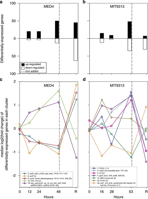 General features of the whole-genome transcription response of MED4 and MIT9313 to iron starvation and rescue. The number of genes that were differentially expressed at each time point for (a) MED4 and (b) MIT9313. Median expression profiles of differentially expressed genes in each hierarchical cluster during iron deprivation and rescue (R) for MED4 (c) and MIT9313 (d). Clusters are listed in the legend and are identified by the cluster number at the beginning of each line. The differentially expressed genes with predicted functions in each cluster are listed with the total number of differentially expressed genes in the cluster given within parentheses at the end of each line. Some clusters contain only differentially expressed genes of unknown function and these are omitted from the figure (for clarity), but presented in Supplementary Tables S1 and S2.