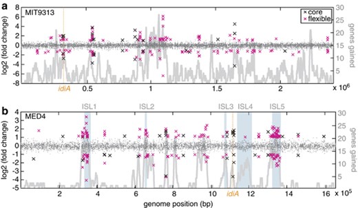 Genome position and fold change of differentially expressed genes for (a) MIT9313 and (b) MED4. Each comparison (see Methods) is represented. Black crosses represent differentially expressed genes that belong to the Prochlorococcus core genome (genes shared by all Prochlorococcus) and magenta crosses represent genes from the flexible genome (genes not shared by all Prochlorococcus). Gray points represent genes that were not significantly differentially expressed. Numbers of genes gained along the genomes (Kettler et al., 2007) are shown in thick gray lines (peaks indicate hypervariable regions) for MED4 and MIT9313. In addition, genomic islands (defined in Coleman et al., 2006) are displayed for MED4 as light blue boxes. Genomic islands have not been defined in MIT9313. For both MED4 and MIT9313, the proportion of differentially expressed genes present in labile regions (genomic islands and/or hypervariable regions) is greater than the proportion of genes from the whole genome that are present in these labile regions (P<0.001, MED4; P<0.01, MIT9313, Fisher's exact test). Orange lines mark the location of the idiA region discussed in the text and displayed in Figures 7 and Supplementary Figures S1 and S2.