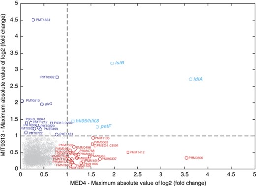 The maximum absolute value of fold-change expression of differentially expressed MED4-MIT9313 shared genes (bi-directional orthologs between MED4 and MIT9313) from all comparisons (see Methods). Directionality of fold change for each gene can be found in Supplementary Tables S1 and S2. Circles indicate genes that are present in the Prochlorococcus core genome and squares indicate genes that are non-core (that is, flexible), but are MED4-MIT9313 shared genes (bi-directional orthologs between MED4 and MIT9313). Dashed lines mark an absolute value log2(fold change) of 1 (the thresholds for determining significance along with q-value—see Methods). Gray symbols: genes that are not differentially expressed. Cyan symbols: genes differentially expressed in both MED4 and MIT9313. Red symbols: genes differentially expressed only in MED4. Blue symbols: genes differentially expressed only in MIT9313. petF encodes ferredoxin, an iron-requiring electron transfer protein. isiB encodes flavodoxin, an iron-free electron transfer protein known to substitute for petF during iron stress. idiA encodes a possible periplasmic iron-binding protein involved in iron transport. hli05 and hli08 are the names for this hli gene in MED4 and MIT9313, respectively.