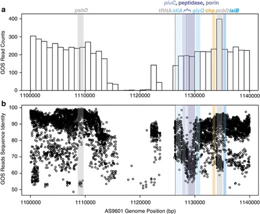 Abundance and diversity of Prochlorococcus-like reads from the global ocean survey (GOS) database in the idiA region. The AS9601 genome best represents Prochlorococcus in the GOS database, and thus is used as a reference genome here. Similar plots with MIT9312 and MED4 are provided in Supplementary Materials (Supplementary Figures S1 and S2). (a) Abundance of recruited Prochlorococcus-like GOS reads aligning to AS9601 and (b) percent similarity of recruited Prochlorococcus-like GOS reads to the AS9601 genome. From left to right, genes of interest are psbD (a reference core gene encoding the PSII D2 protein), tRNA (black), idiA (cyan), piuC (purple, AS9601_13531), possible peptidase (purple, AS9601_13541), possible porin (purple, AS9601_13551), glyQ (cyan), conserved hypothetical gene (chp—yellow), pcbD (gray)—present in multiple copies in some Prochlorococcus genomes, and isiB (cyan).