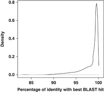 Distribution of the similarities (percentage of identity) between the 26 651 stramenopile reads and the Sanger stramenopile sequences at NCBI-nr (version May 2011). Only hits that aligned >300 bp to the query were considered. Note that most of the MAST diversity recovered by 454 was >98% similar to Sanger sequences already present at NCBI-nr.