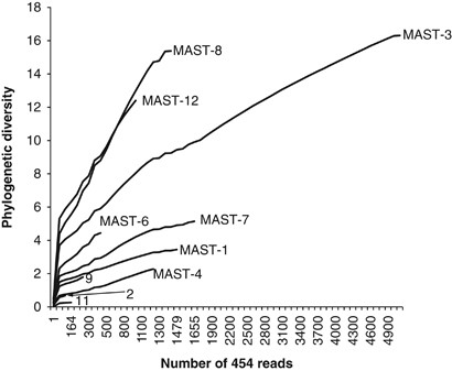 Phylogenetic diversity for the different MAST groups based on 454 reads. A rarefaction curve based on 1000 randomizations is presented, as phylogenetic diversity is dependent of sample size.