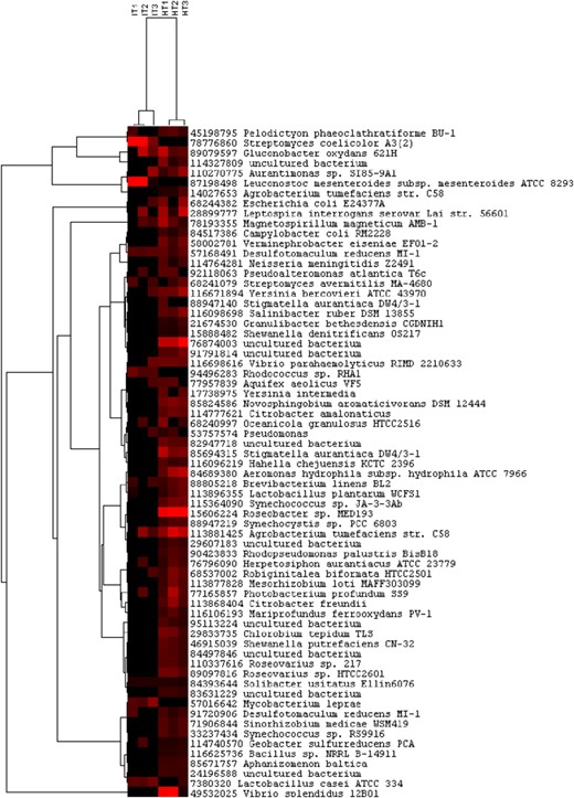 Hierarchical cluster analysis of exophosphate (Ppx) genes in rhizosphere of ‘Ca. L. asiaticus’-infected (IT1–IT3) or healthy (HT1–HT3) citrus. Genes that were present in at least three samples were used for cluster analysis. Results were generated in CLUSTER and visualized using TreeView. Red indicates signal intensities above background, whereas black indicates signal intensities below background. Brighter red coloring indicates higher signal intensities.