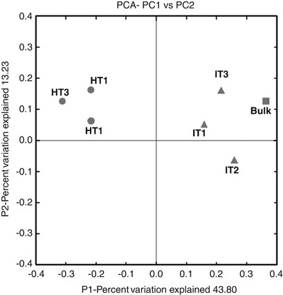 Principal-coordinate analysis for the 16S rRNA gene clone libraries of bulk soil and rhizosphere-associated bacteria in healthy or ‘Ca. L. asiaticus’-infected citrus. The ordination was constructed using UniFrac distances weighted by relative abundances. Each number represents the phylogenetic composition of rhizosphere-associated bacteria in healthy (HT1–HT3) or ‘Ca. L. asiaticus’-infected (IT1–IT3) citrus.