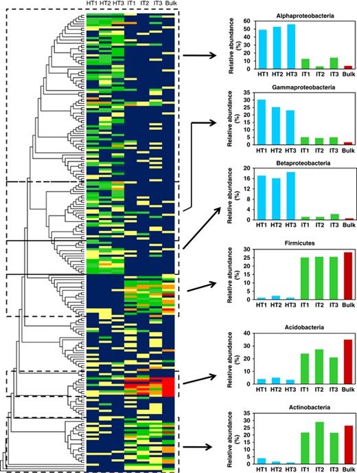 Heatmap for the relative abundance of operational taxonomic units (OTUs) for 16S rRNA gene clone libraries of bulk soil and citrus rhizosphere-associated bacteria under healthy and ‘Ca. L. asiaticus’-infected conditions. The relative abundance of each OTU in each library is indicated by different colors: yellow (>1%), green (1–2%), orange (2–3%) and red (<3%), with a background of dark blue (0%). The relative abundance for the bacterial groups showing significant differences between clone libraries of bulk soil, ‘Ca. L. asiaticus’-infected and healthy citrus is shown at the right side.
