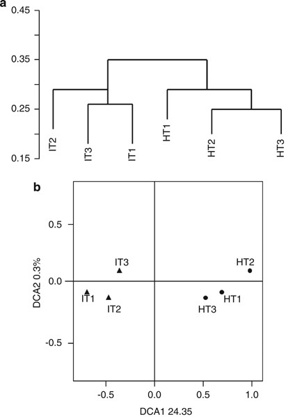 Multivariate analysis of functional genes associated with the rhizosphere of ‘Ca. L. asiaticus’-infected or healthy citrus. (a) Cluster analysis; and (b) detrended correspondence analysis (DCA) of the functional genes detected in ‘Ca. L. asiaticus’-infected (IT1–IT3) or healthy (HT1–HT3) citrus rhizosphere.