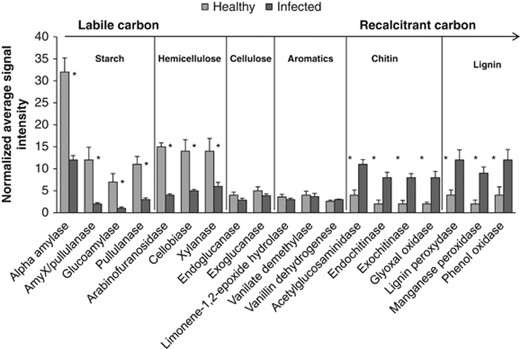 Normalized signal intensity of the detected key gene families involved in carbon degradation in rhizosphere of ‘Ca. L. asiaticus’-infected or healthy citrus. Signal intensities were the sum of detected individual gene sequences for each functional gene, averaged among rhizosphere samples. The complexity of carbon is presented in order from labile to recalcitrant. Error bars represent s.e. *P<0.10.
