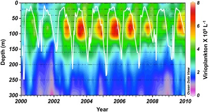 Contour plot of virioplankton abundance ( × 109 l−1) over 300 m from 2000 to 2010 with MLD (m) superimposed as a white line. Each dot represents an individual sampling point.