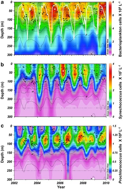 Contour plot of (a) Bacterioplankton ( × 108 l−1); (b) Synechococcus ( × 107 l−1) and (c) Prochlorococcus ( × 108 l−1) cell abundance over 300 m from 2002 through 2009 with virioplankton abundance ( × 109 l−1) overlaid as contour lines. MLD (m) is superimposed as a white line in panel (a).