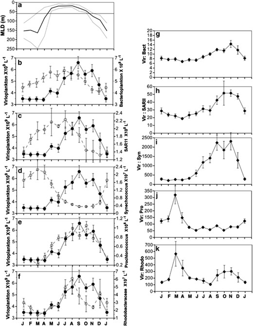 Annual composite plots of (a) MLD (m) in black with the total range in grey. (b) Virioplankton abundance ( × 109 l−1) (filled circle) and bacterioplankton abundance ( × 108 l−1) (open circle; and for all bacterial lineages in the following panels). (c) Virioplankton abundance ( × 109 l−1) and SAR11 abundance ( × 108 l−1). (d) Virioplankton abundance ( × 109 l−1and Synechococcus abundance ( × 107 l−1). (e) Virioplankton abundance ( × 109 l−1) and Prochlorococcus abundance ( × 108 l−1). (f) Virioplankton abundance ( × 109 l−1) and Rhodobacteraceae abundance ( × 107 l−1). (g) VBR. (h) Virioplankton-to-SAR11 ratio. (i) Virioplankton-to-Synechococcus ratio. (j) Virioplankton-to-Prochlorococcus ratio and (k) virioplankton-to-Rhodobacteraceae ratio. The annual composite plots focused on the virioplankton maximum by integrating and depth-normalizing cell abundances between 60 m and 100 m. The decadal time-series was then collapsed to a single annual composite where a mean value and standard error for each month was derived.
