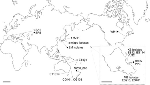 Geographic distribution of the V. fischeri strains used in this study. The majority of these strains were sampled from locations in the Pacific Ocean, specifically the Hawaiian Island of Oahu (inset). The shapes next to strain names denote the strains’ ecological habitat: Filled black circle, planktonic (seawater); triangle or square or star, light-organ symbiont. The triangle, square and star fill colors represent host organisms as follows: White triangle, C. gloriamarus; black triangle, M. japonicus; white square, E. scolopes; gray square, E. tasmanica; black square, E. morsei; white star, S. affinis; black star, S. robusta. The bars in the main figure and inset represent 2000 and 20 km, respectively. The background continent and Oahu outlines were taken from maps made available freely at http://d-maps.com/.