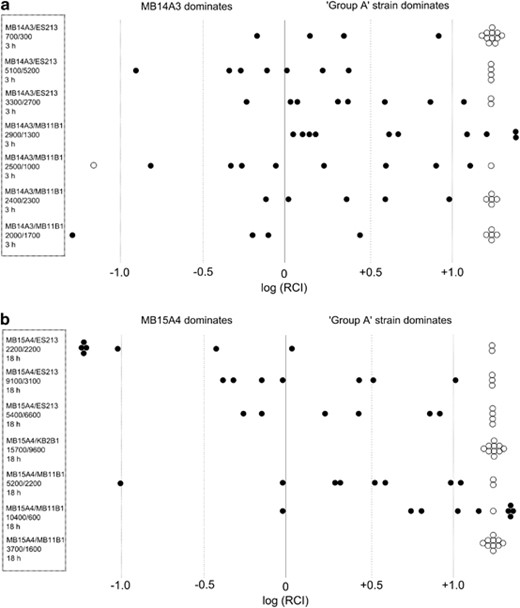Dual-strain, juvenile E. scolopes experiments competing single V. fischeri ‘Group-A’ strains against either (a) MB14A3 or (b) MB15A4. In both graphs, each row represents a single experiment, summarized by the box on the left as follows: First line, strains’ identities; second line, initial mean concentration of each strain in c.f.u./ml (the s.d. was less than 50% of this mean value for all experiments); third line, duration of inoculation. All experiments were concluded at 48 h after hatching and involved 9–15 juvenile squid born from mating adults collected from Maunalua Bay, Hawaii. The unfilled circles represent individual squid that were found to contain only one of the strains (that is, the other strain was below the limit of detection—approximately 500 times less abundant than the strain present). The unfilled circles are arbitrarily positioned at 1.25 and −1.25 units on each axis. Each filled circle represents an individual squid that contained both strains, and is positioned on the graph as the logarithm of the RCI (logRCI) for the two strains. Filled circles with a logRCI value greater than 1.25 or less than −1.25 are placed either to the right or to the left of these values (and unfilled circles), respectively, because of graphical limitations.