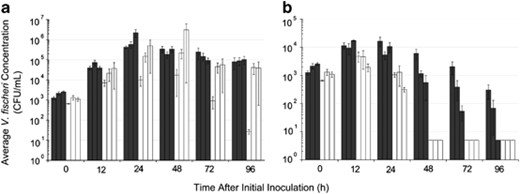 Single-strain V. fischeri growth experiments in microcosms filled with either (a) 0.22-μm-filtered or (b) unfiltered fresh seawater from Maunalua Bay, Hawaii. In both graphs, each bar represents the mean c.f.u./ml of three biological replicates of a single strain, with error bars indicating the s.e.m. The histogram bars relate to V. fischeri strains as follows: Non-’Group-A’ V. fischeri are represented by the three black bars at each time point (left, ES114; center, MB14A3; right, MB15A4), whereas ‘Group-A’ V. fischeri are represented by the white bars at each time point (left, ES213; center, MB11B1; right, KB2B1). In the unfiltered seawater data (b), the mean abundance values that are indicated at 3 c.f.u. ml−1 for the 48- to 96-h time points were below this limit of detection.
