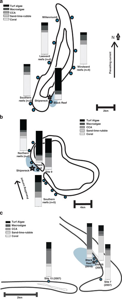 (a) The benthic community composition present on Millennium atoll. The bar graphs represent the percent cover of coral, CCA, macroalgae and turf algae on reefs from Millennium (0.72 m2 quadrats per site, n=20). On the black reef, the average percent cover of various benthic organisms was as follows: corals 16.7%±4.3, CCA 1.5%±0.6, turf algae 71%±4.9 and macroalgae 10.6%±2.0. For 10 control sites around Millennium, the average percent cover of various benthic organisms was as follows: corals 65.9%±7.6, CCA 9.2%±2.9, turf algae 7.9%±2.3 and macroalgae 16.3%±4.5. The photographs depict benthic assemblages characteristic of leeward and windward reefs, and of the black reef. The black arrow indicates the direction of the prevailing current. Water flowed out of the lagoon through the passage where the shipwreck occurred and to the south. (b) The benthic community composition present on Tabuaeran. The photographs depict the benthic assemblages characteristic of the northern leeward reefs, site-2 (black reef), site-9 and of the southern leeward reefs on Tabuaeran. The bar graphs represent the percent cover of coral, CCA, macroalgae and turf algae. The black arrow indicates the direction of the prevailing current. (c) The benthic community composition for back-reef sites on Kingman Reef. Sites 7, 15 and 16 were measured in August 2007 prior to the influence of shipwreck debris. The black reef site was measured in October 2010. The area of reef estimated to be impacted by shipwreck debris is indicated with light blue shading.