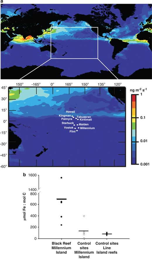 Regional and local iron concentrations. (a) Iron concentrations across the world with an emphasis on the central Pacific (data for oceanic iron concentrations were taken from Behrenfeld et al., 2009). The colored bar estimates iron deposition (ng m−2 s−1). (b) The elemental stoichiometry of iron incorporated into the tissues of benthic organisms from the black reef, control sites on Millennium and from other LI reefs. Iron and carbon concentrations were measured using ICP-OS and EA, respectively. The horizontal line represents the mean of each data set.