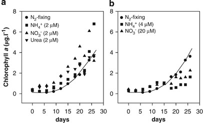 Diazotrophic growth (solid line) of Trichodesmium sp. IMS101 as compared with growth in the presence of low (2 μm) concentrations of nitrate and ammonium (a) and at elevated (4–20 μm) concentrations of these N sources (b).