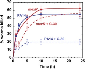 The mexR mutation decreases C-30 inhibition of killing of C. elegans by P. aeruginosa. L4 stage hermaphrodite worms were exposed to wild-type P. aeruginosa (blue squares) and mexR (red circles) grown on PGS medium with (open symbols) or without (closed symbols) 50 μm C-30. Worms exposed to E. coli OP50 on the same medium plates were used as the negative control, which showed 100% viability. Data represent the mean±s.d.; n=4 plates, 20 worms per plate.