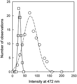 Frequency distribution of the Hoechst-DNA 472 nm emission signal in the measured population of exponentially grown vegetative cells (open squares, solid line) and free akinetes (open circles, dashed line).