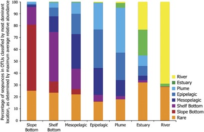 Percentage of sequences in OTUs classified by location. Slope bottom and river groups represent end members in the system. Rare category represents sequences belonging to OTU that make up to less than 0.1% of the total number of sequences from each corresponding location.