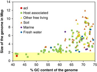 Distribution of 197 actinobacterial finished genomes according to GC content and genome size. The yellow area which is below 2 Mb contains only ∼8% of the genomes, most of which are host associated.