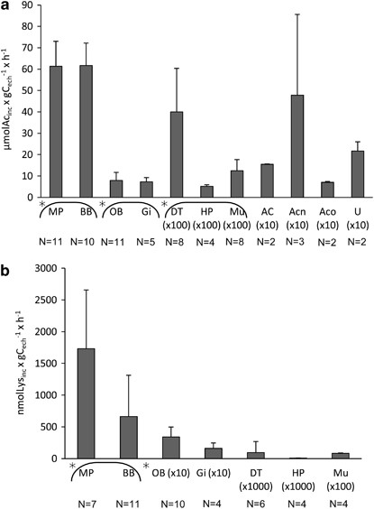 Rates of incorporation of 14C (a) and 3H (b) into the bacterial mats and inner tissues of R. exoculata shrimps incubated for 1 h with 14C-acetate or 3H-lysine in pure SW. Stars indicate significantly different groups of tissues; ( × 10, × 100, × 1000) indicates tissues for which the values were multiplied by 10, 100 or 1000 for graph presentation; ‘N’ indicates the number of samples for each data bar. U, uropods.