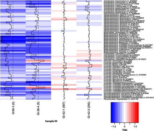 Heatmap of PTU that increased in transformed hybridization intensities in PMA-treated samples compared with non-PMA-treated samples and were called present in the PMA-treated sample. An increase in transformed hybridization intensities in PMA-treated sample is reflected as a positive ratio. In total, 801 PTU were identified that fulfilled this requirement, which were grouped into 70 genera. Displayed are representatives of all genera with the most drastic changes for each sample pair. Numbers in parentheses are the total number of PTU.