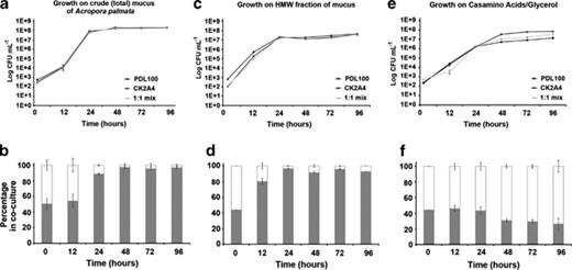 Competitive fitness of S. marcescens PDL100 and CK2A4. To test the importance of catabolic enzymes for growth of S. marcescens on coral mucus, both wild type and CK2A4 were grown both individually and in coculture on mucus of A. palmata and in the HEPES-buffered (10 mm, pH 7.1) artificial seawater with casamino acids (0.5 g l−1) and glycerol (0.4% vol/vol). For competition experiments, overnight inocula were serially diluted and mixed (1:1 ratio). Cultures in (a) crude (total) mucus of Acropora palmata, (c) high-molecular-weight (>5 kDa) fraction of A. palmata mucus or (e) casamino acids/glycerol were inoculated at 102 cfu ml−1. Cultures were incubated at 30 °C with shaking. To enumerate cells, at 12, 24, 48, 72 and 96 h cultures were dilution plated onto marine agar supplemented with Tc10. Averages of three biological replications of the experiment (three independent cultures) are shown, error bars are standard error. In monocultures, all strains grew similarly and reached the same final population densities. To estimate the percentage of each strain within each coculture (competitive fitness), colonies were patched onto marine agar supplemented with Tc10 and Gm50 to differentiate between the wild type and the transposon mutant. The relative proportion of the wild type is shown as the gray portion of the stacked column. Competitive fitness experiments were repeated at least twice, and averages are shown (error bars are standard errors). On total mucus (b) and high-molecular-weight fraction of the mucus (d), the mutant was not competitive against the wild type. CK2A4 had a fitness advantage on the casamino acid/glycerol defined medium and grew to higher population densities than wild type and the 1:1 coculture (f).
